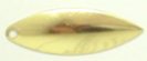 Willow Brass Blades
