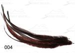 Emu Feathers