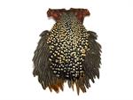 Jungle Cock Feathers