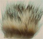 Badger