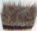 Woodchuck