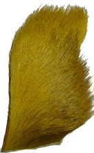 Elk