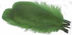 Goose Feathers