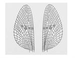 J:Son Realistic Wing Material