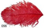 Ostrich Feathers