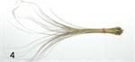 Quill Body