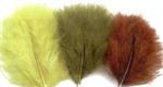 Marabou
